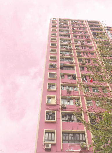 Views of Hong Kong Pink Art Print
