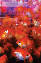 Load image into Gallery viewer, Views of Hong Kong Goldfish Market Art Print
