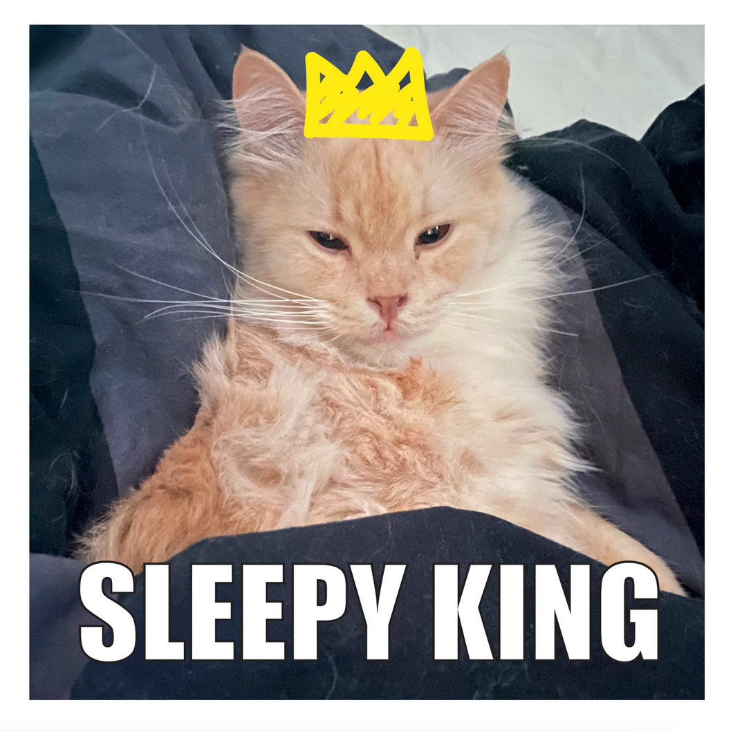 SLEEPY KING 👑 Vinyl Sticker